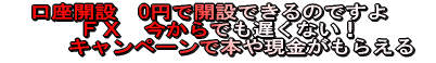 J݁@O~ŊJ݂ł̂ł@ew@łxȂ@Ly[Ŗ{⌻炦