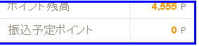 ビッグポイントショッピング