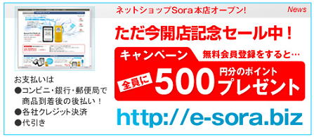 Sora•ÎŒ²ESora’||‰t